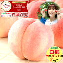 Thumbnail of new posts 008