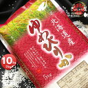 Thumbnail of new posts 037