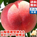 Thumbnail of new posts 045